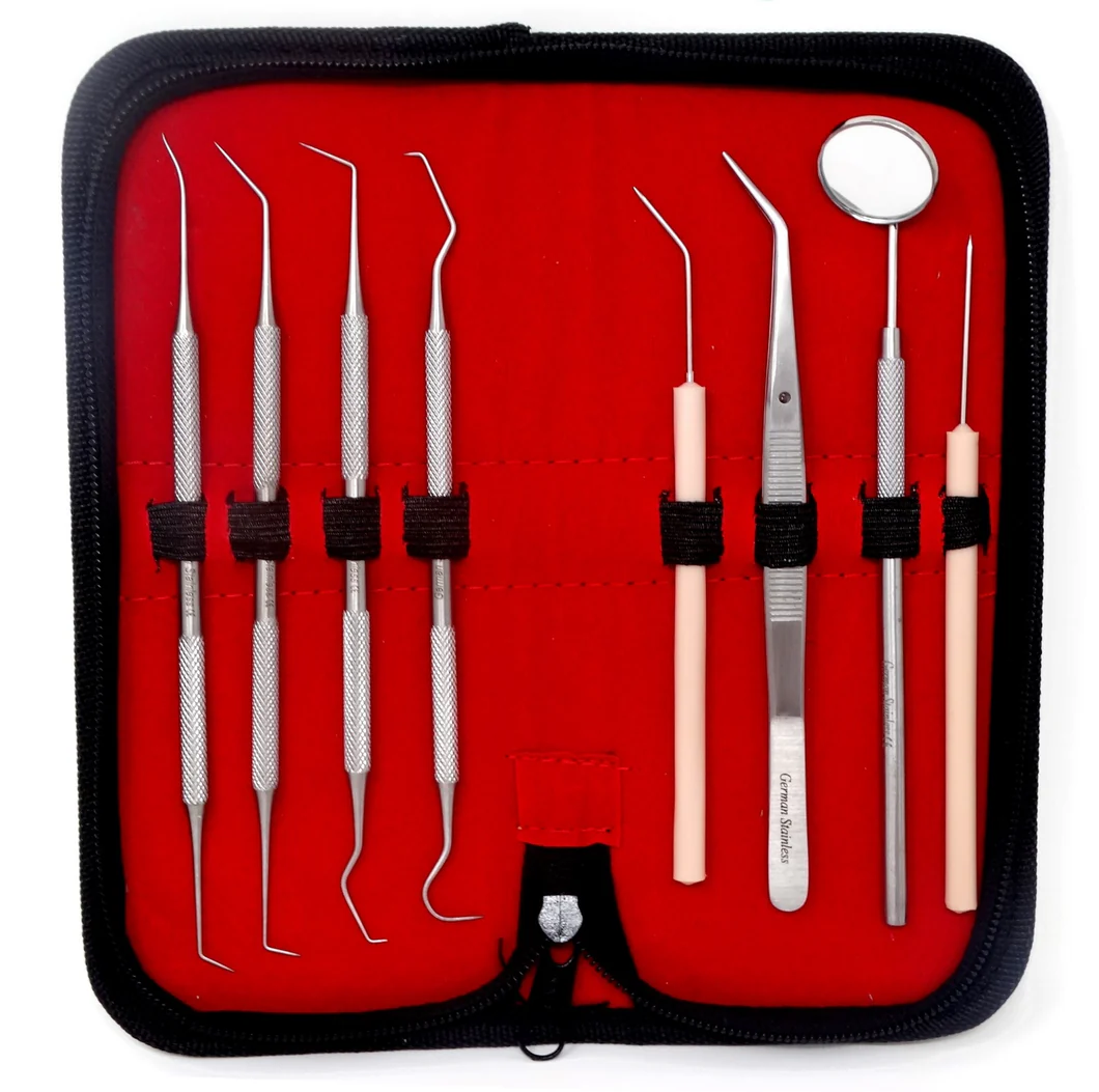 Dental Scaler Set (5 pcs)
